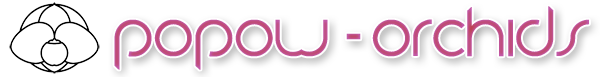 POPOW-ORCHIDS-Logo